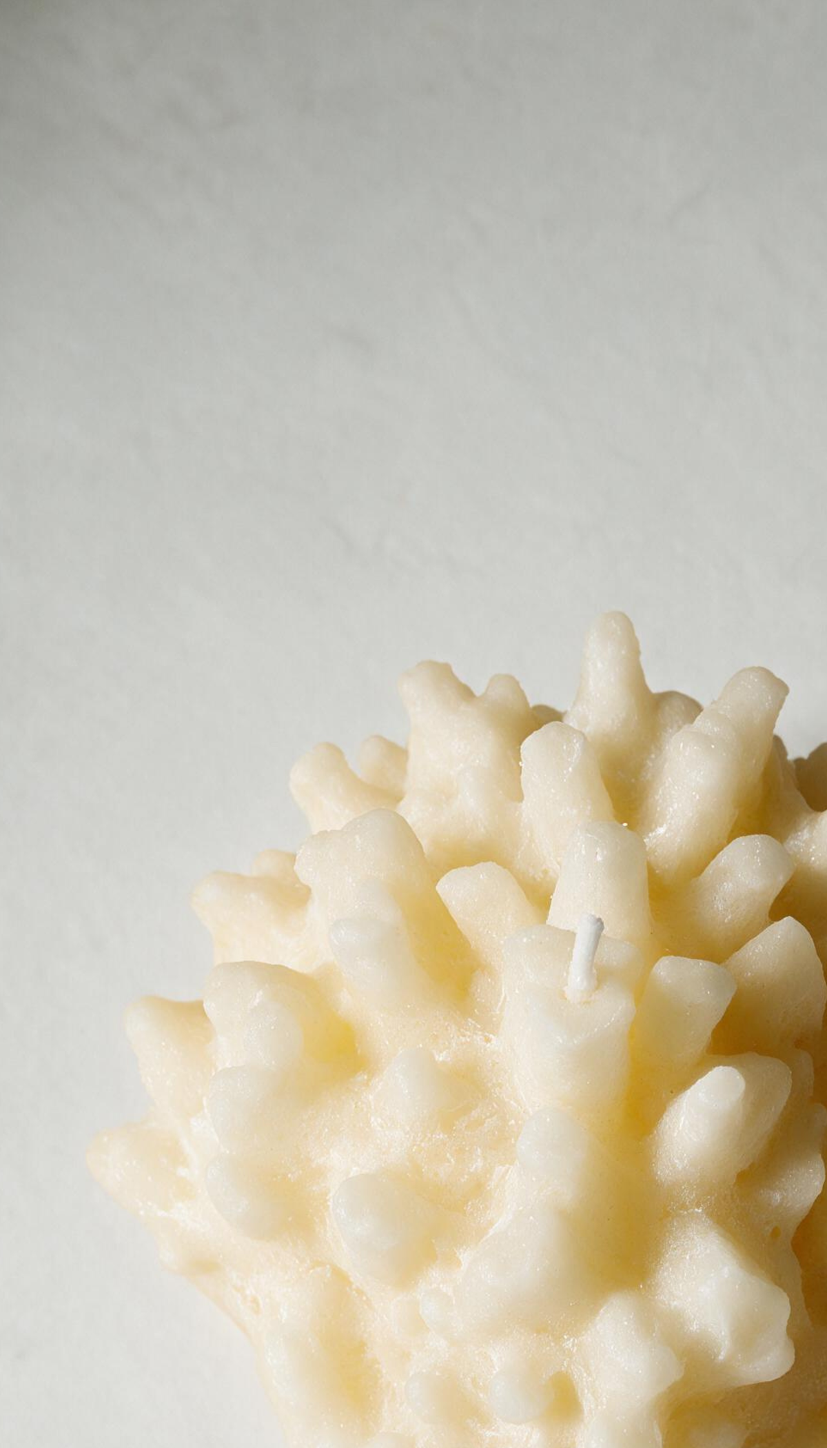 Vela decorativa escultural con forma de coral marino, mostrando una textura realista porosa en color grum.