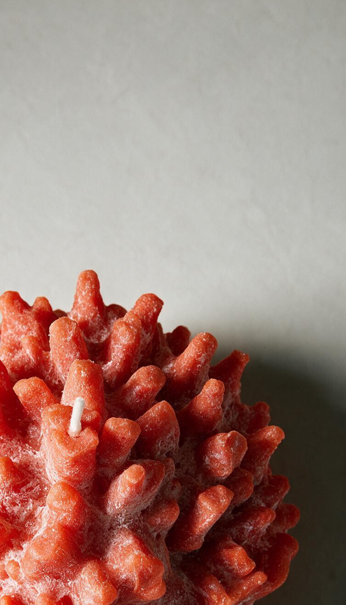 Vela decorativa escultural con forma de coral marino, mostrando una textura realista porosa en color naranja vibrante con sutiles detalles blancos empolvados.
